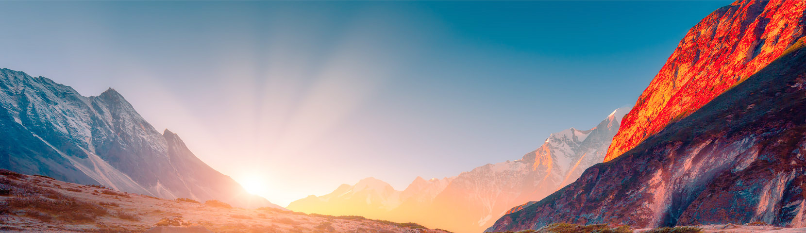 关于太阳成tyc33455cc